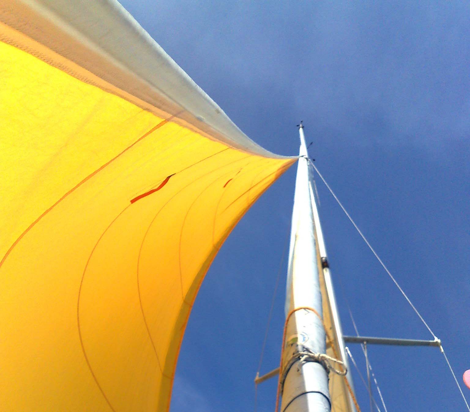 [Immagine: 20098118854_caten 3.jpg]